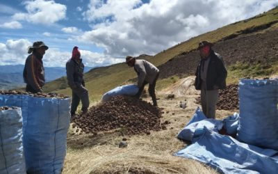 Kami-Bolivia: la importancia de fomentar la soberanía alimentaria
