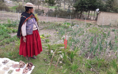 Independència econòmica i productiva de les dones indígenes a Bolívia