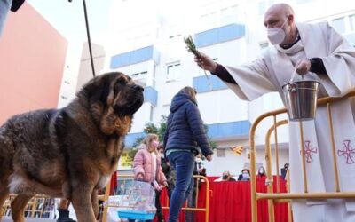 La benedicció d’animals per Sant Antoni Abad torna després de dos anys als carrers de València