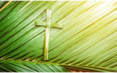 ESTUDIO DE LA PALABRA| CICLO A – DOMINGO DE RAMOS