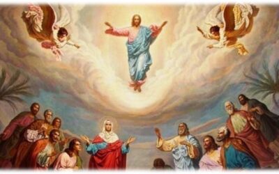 ESTUDIO DE LA PALABRA| CICLO A –  ASCENSIÓN DEL SEÑOR