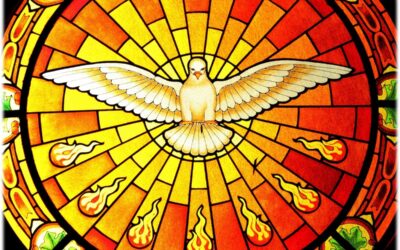 ESTUDIO DE LA PALABRA| CICLO A – PENTECOSTÉS