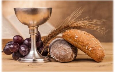 ESTUDIO DE LA PALABRA| CICLO A – CORPUS CRHISTI