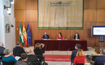 Presentada la Plataforma d’Organitzacions d’Entitats d’Infància d’Andalusia al Parlament Andalús.