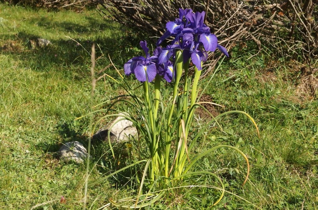 Buenas semillas, frutos abundantes