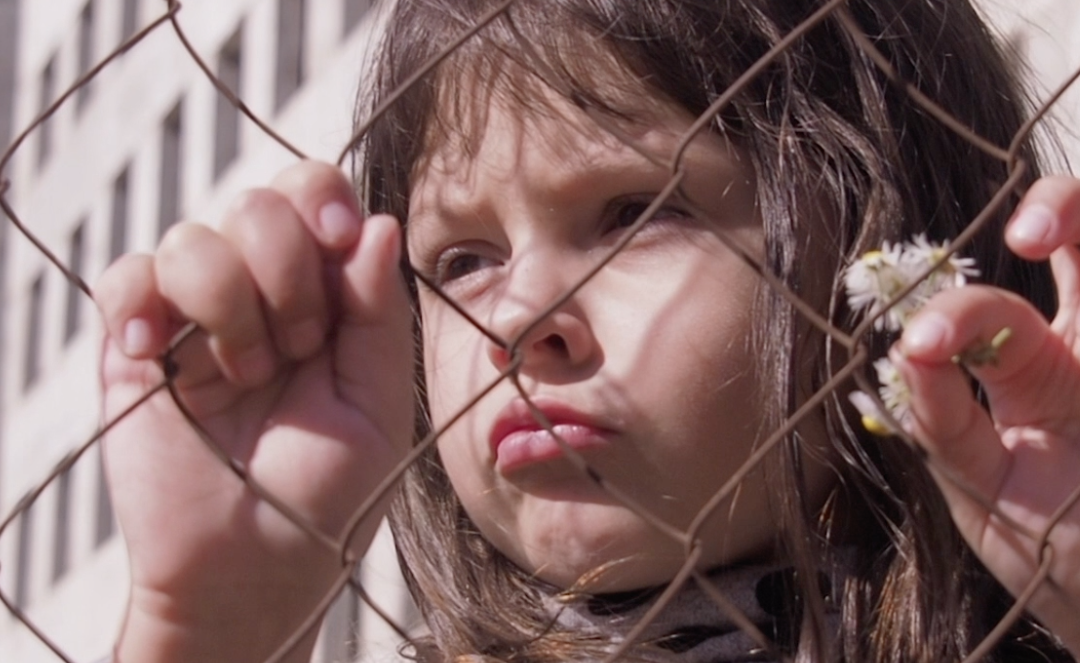 El rostro salesiano de la Fratelli Tutti