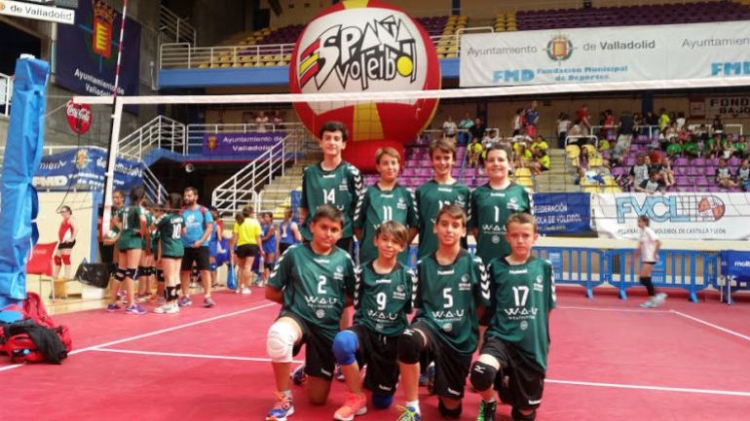 El Club Voleibol Elche Salesianos es reconocido un año más como la mejor cantera de España