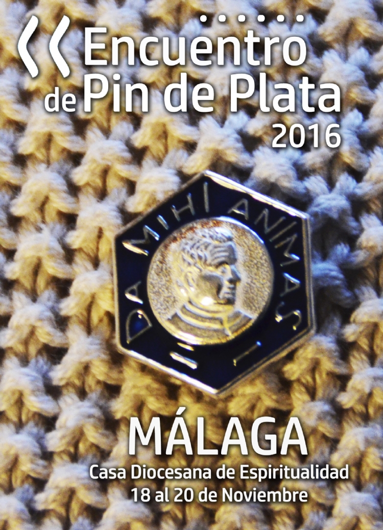 Los Salesianos Cooperadores se encuentran en simultáneo