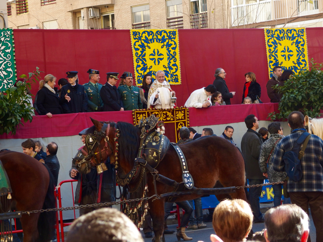 Miles de animales reciben la bendición en la principal celebración de San Antonio Abad en Valencia