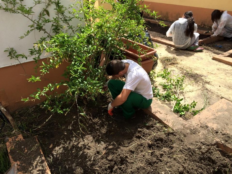Fotonoticia: El huerto es una realidad en Salesianos La Línea