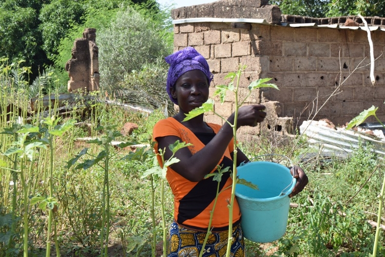 La ongd VOLS lanza la campaña “Soberanía alimentaria en Burkina Faso”