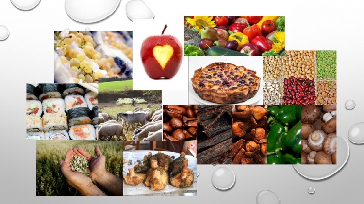 Fotonoticia. 7º concurso de fotografía digital en Salesianos Sabadell en la Semana de la Ciencia