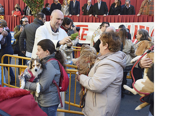 Miles de valencianos acuden a los Salesianos de la calle Sagunto para la bendición de animales