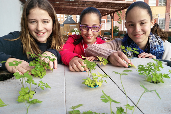 Aquaponia: Cuando los peces alimentan a las plantas