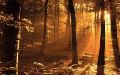 Tiempo Interior propone un otoño con la mirada de Jesús