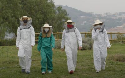Abejas y jóvenes, una experiencia con un resultado inesperado