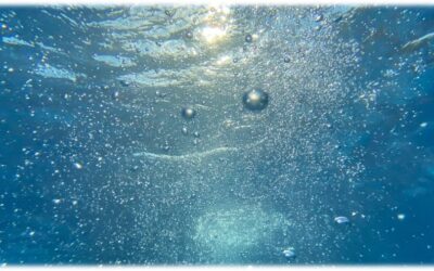 ESTUDIO DE LA PALABRA| CICLO C – BAUTISMO DEL SEÑOR