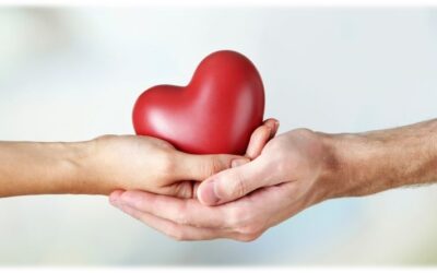 ESTUDIO DE LA PALABRA| CICLO C – XVIII Domingo de tiempo Ordinario