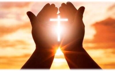 ESTUDIO DE LA PALABRA| CICLO C – XXVII DOMINGO DE TIEMPO ORDINARIO