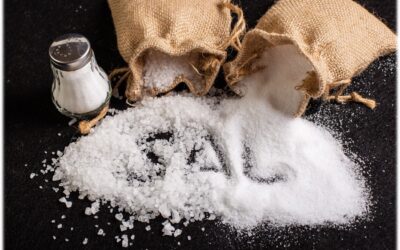 ESTUDIO DE LA PALABRA| CICLO A – V DOMINGO DE TIEMPO ORDINARIO