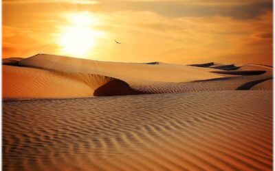 ESTUDIO DE LA PALABRA| CICLO A – I DOMINGO DE CUARESMA