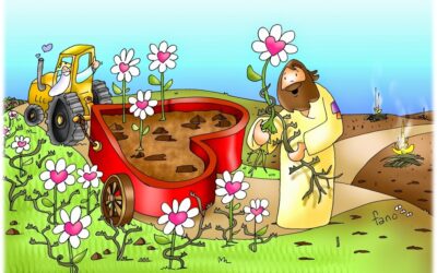 EPN | CICLO A – XVI DOMINGO DE TIEMPO ORDINARIO