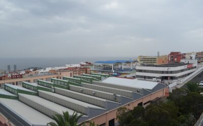 Antonio Madurga García, salesiano sacerdote (1931-2024)